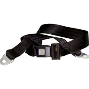 Pro-Series Adjustable Safety Belt